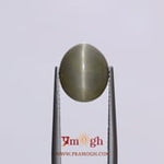 Catseye - 6.5 Carat