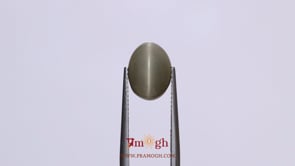 Catseye - 4.8 Carat