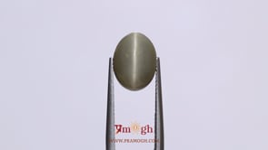 Catseye - 6.35 Carat