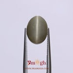 Catseye - 6.35 Carat