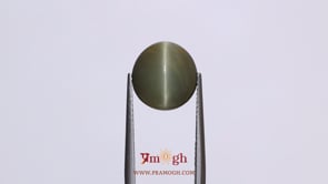 Catseye - 8.55 Carat