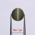 Catseye - 8.55 Carat