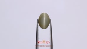 Catseye - 3.65 Carat