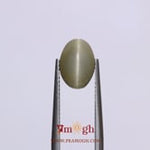 Catseye - 3.65 Carat