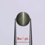 Catseye - 5.5 Carat