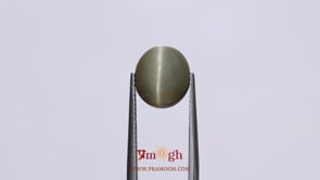 Catseye - 7.2 Carat