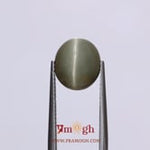 Catseye - 7.2 Carat