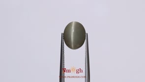 Catseye - 4.5 Carat