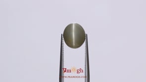 Catseye - 4.5 Carat