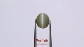 Catseye - 4.3 Carat