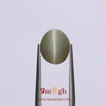 Catseye - 4.3 Carat