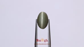 Catseye - 4.53 Carat
