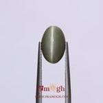 Catseye - 4.53 Carat