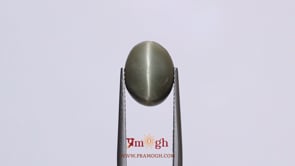 Catseye - 6.55 Carat