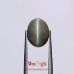 Catseye - 6.55 Carat