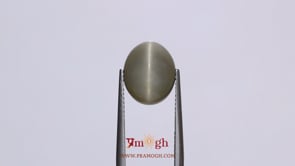 Catseye - 7.55 Carat