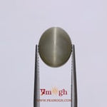 Catseye - 7.55 Carat
