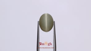 Catseye - 5.05 Carat