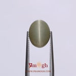 Catseye - 5.05 Carat