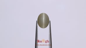 Catseye - 3.15 Carat