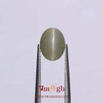 Catseye - 3.15 Carat
