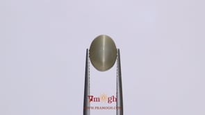Catseye - 3.4 Carat