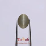 Catseye - 3.4 Carat