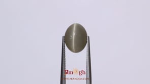 Catseye - 4.85 Carat