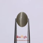 Catseye - 4.85 Carat