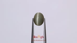 Catseye - 3.9 Carat