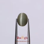 Catseye - 3.9 Carat