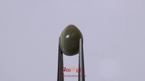 Catseye - 5.2 Carat