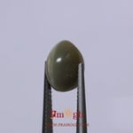Catseye - 5.2 Carat