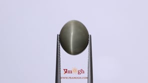 Catseye - 7.65 Carat