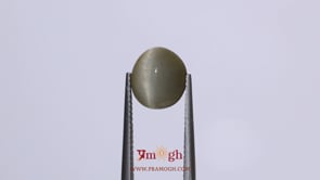 Catseye - 4.5 Carat
