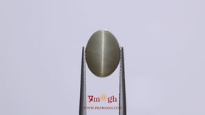 Catseye - 5.5 Carat