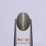 Catseye - 5.5 Carat