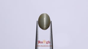 Catseye - 3.75 Carat