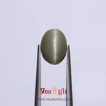 Catseye - 3.75 Carat