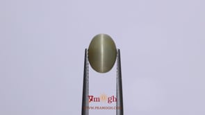 Catseye - 3.35 Carat