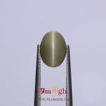 Catseye - 3.35 Carat
