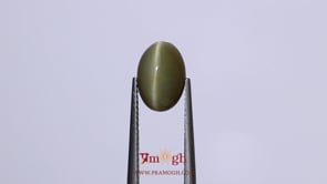 Catseye - 4.75 Carat