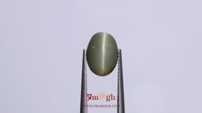 Catseye - 4.9 Carat