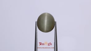 Catseye - 6.9 Carat