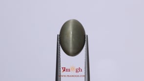Catseye - 7.7 Carat