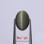 Catseye - 7.7 Carat