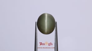 Catseye - 8.15 Carat
