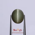 Catseye - 8.15 Carat
