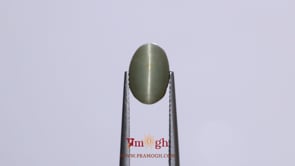 Catseye - 9.9 Carat