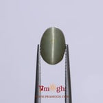 Catseye - 9.9 Carat
